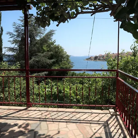 Martinis - Tgr163 Trogir